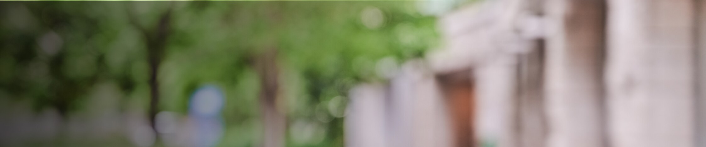 Blurred background banner image